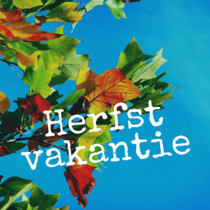 Stede Broec Spektakel Herfst prikkelarm